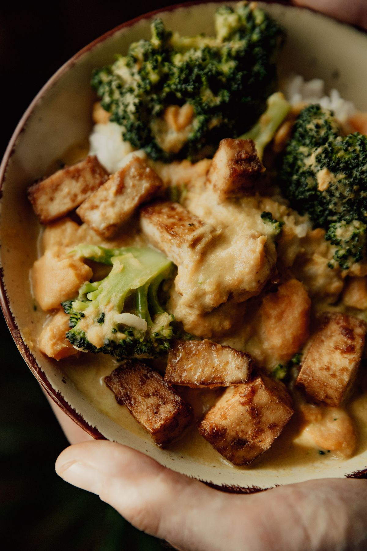Tofu and broccoli curry served in a bowl.
